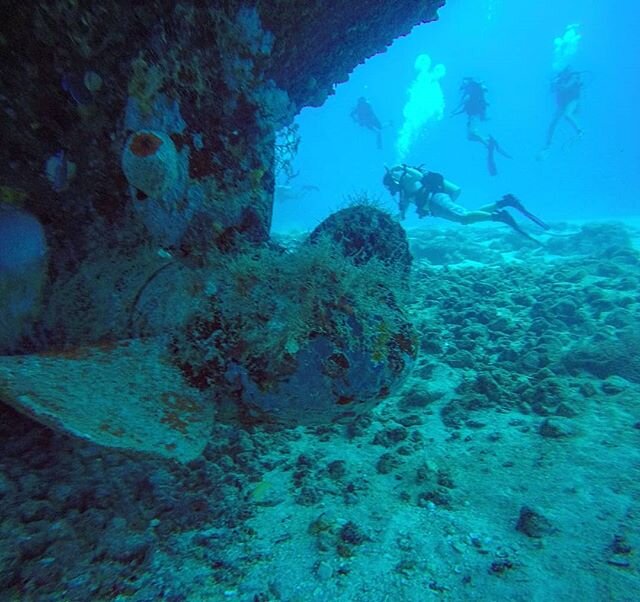Cane Bay Dive Shop St Croix Scuba Diving and PADI Training Cane Bay