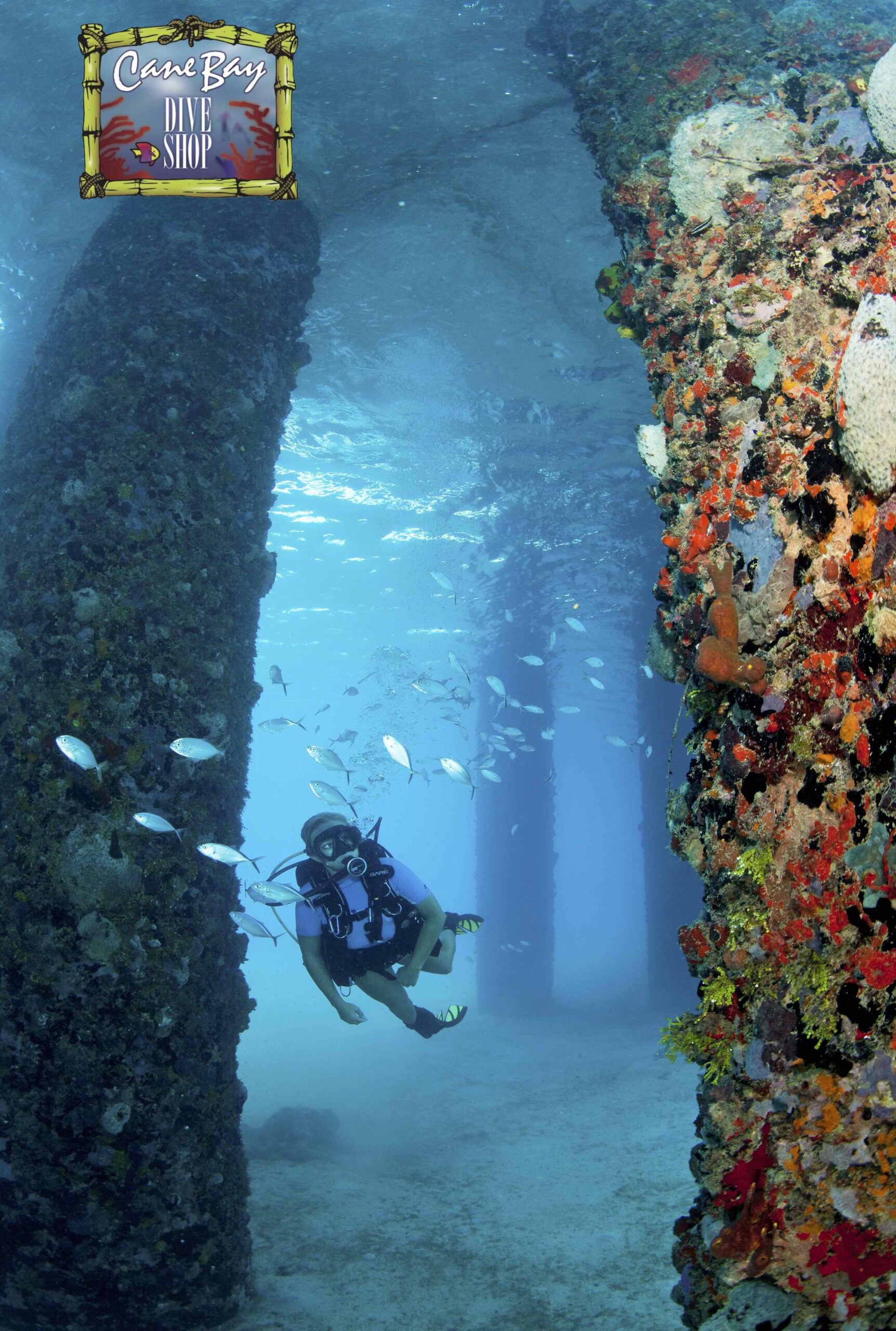 Cane Bay Dive Shop St Croix Scuba Diving and PADI Training Cane Bay