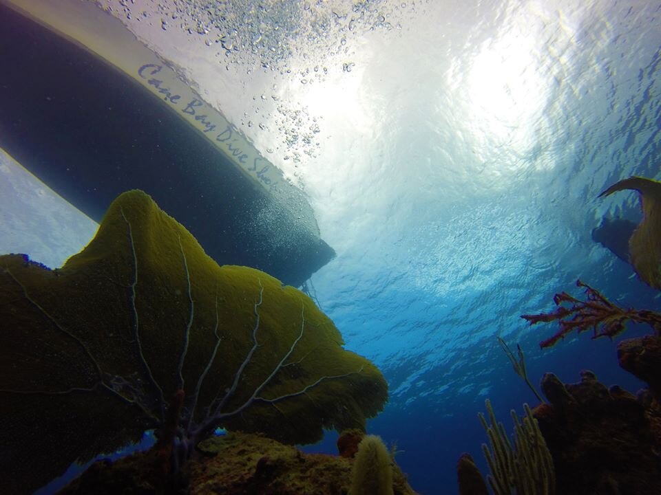Cane Bay Dive Shop St Croix Scuba Diving and PADI Training Cane Bay