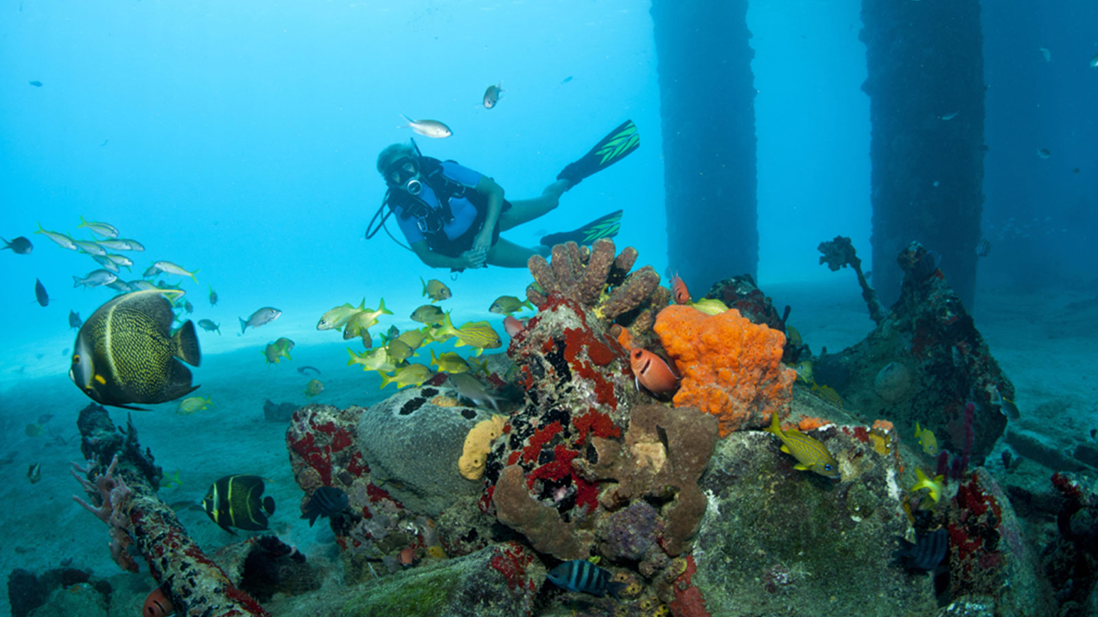 Cane Bay Dive Shop St Croix Scuba Diving and PADI Training Cane Bay